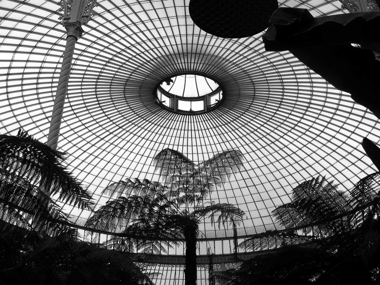 ceiling botanics building free photo