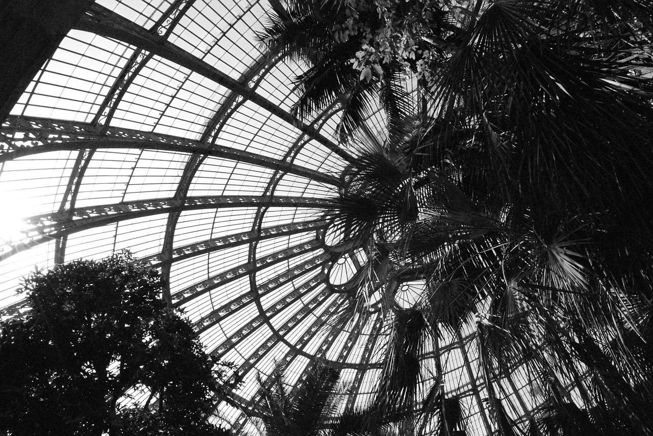 ceiling vault plants free photo