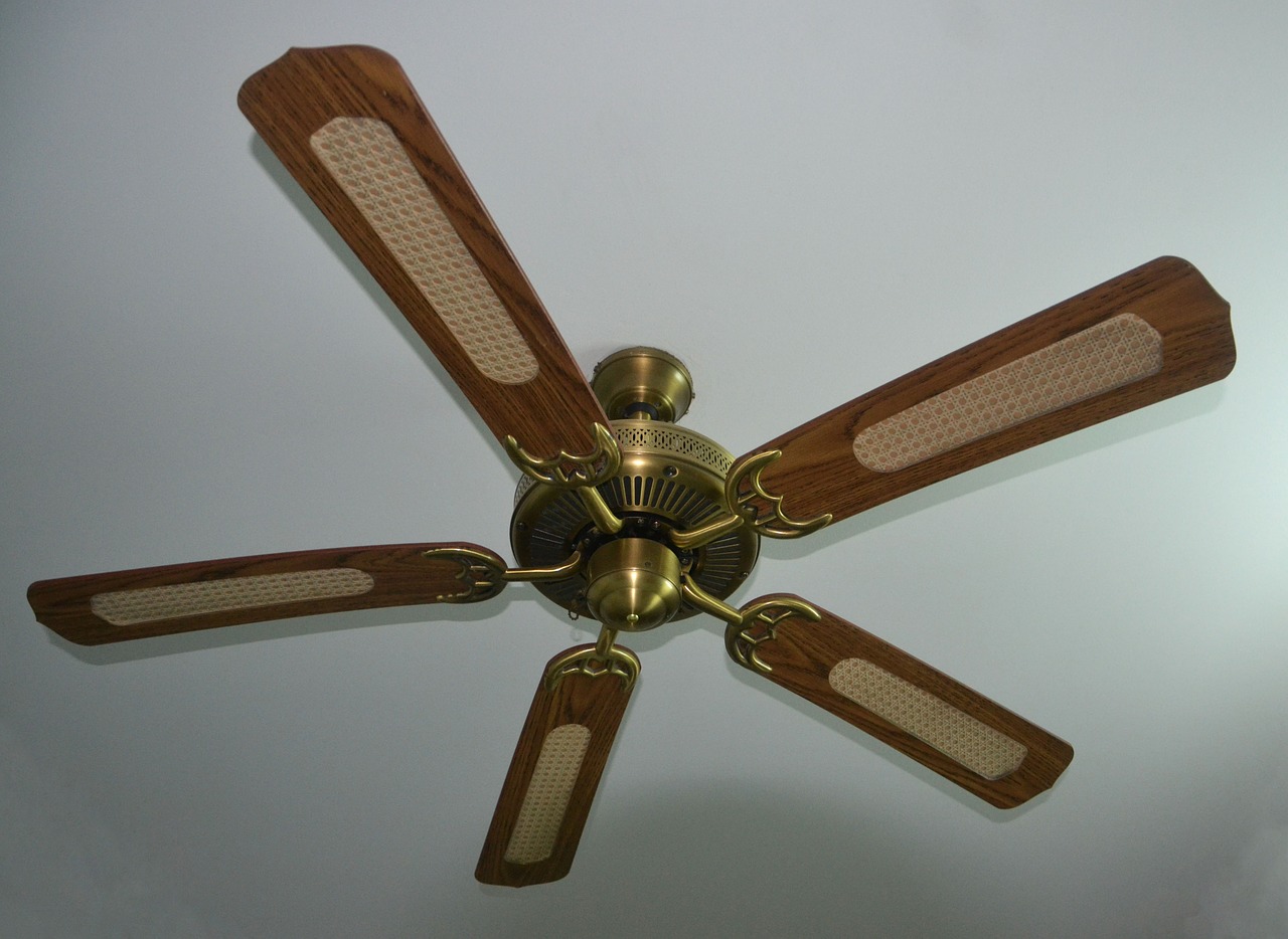 ceiling fan fan whirling free photo