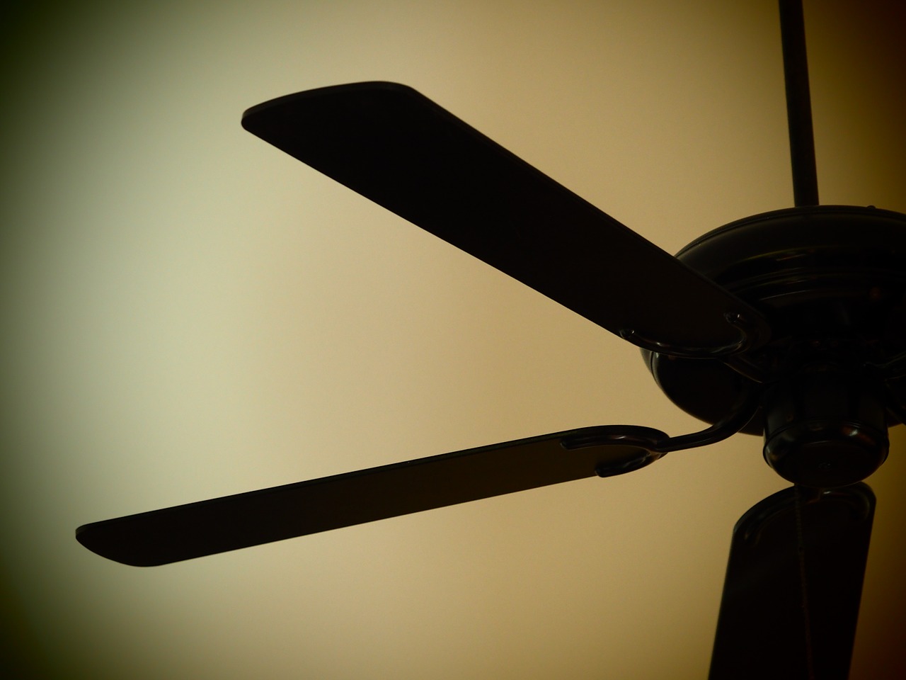 ceiling fan fan decorate free photo