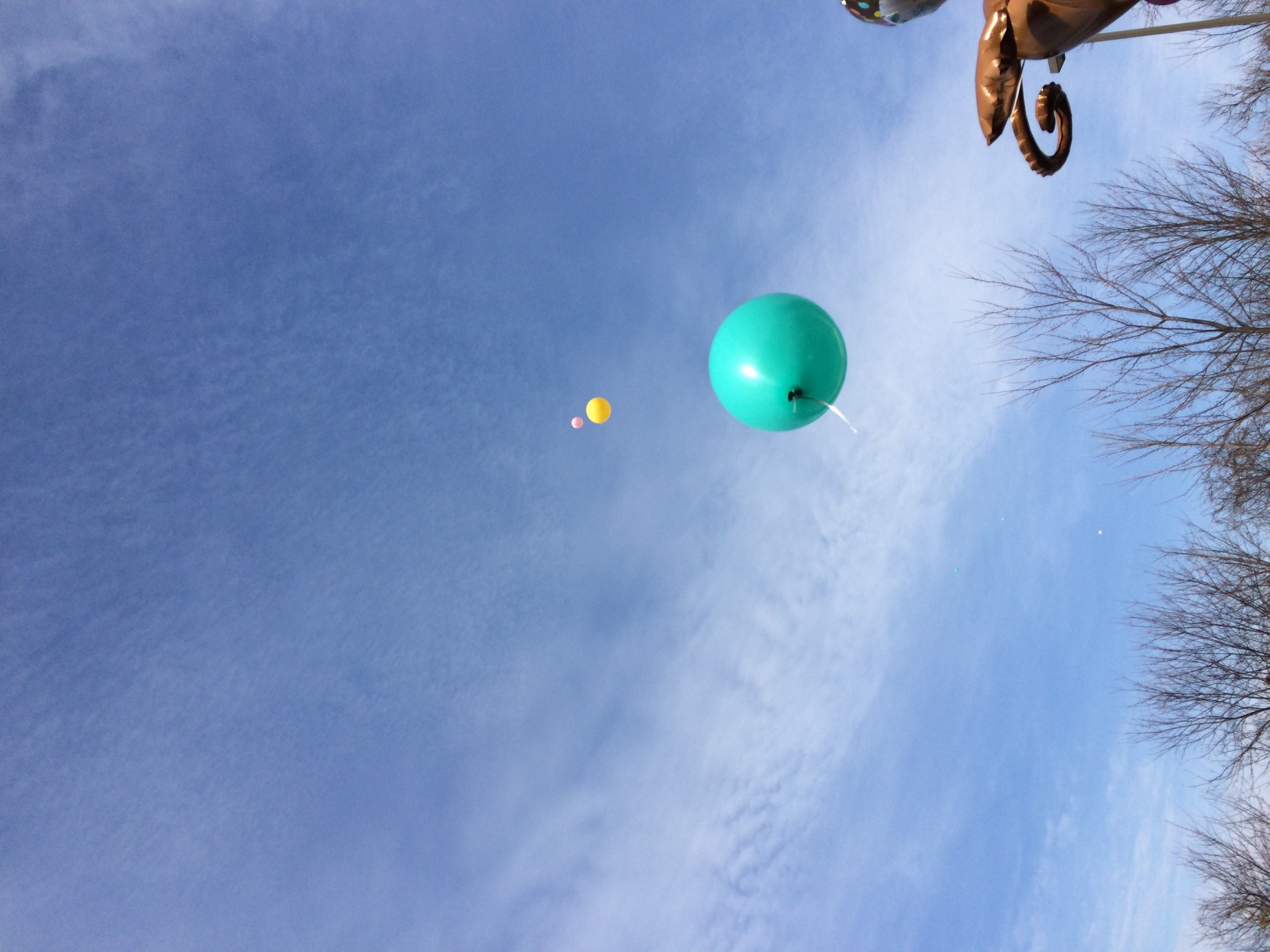 balloons sky celebrating free photo