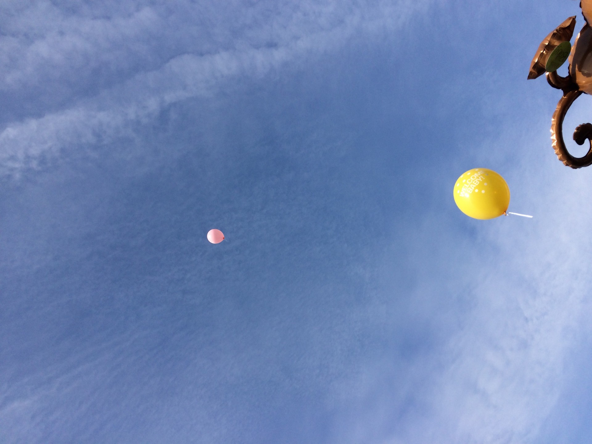 balloons sky celebrating free photo