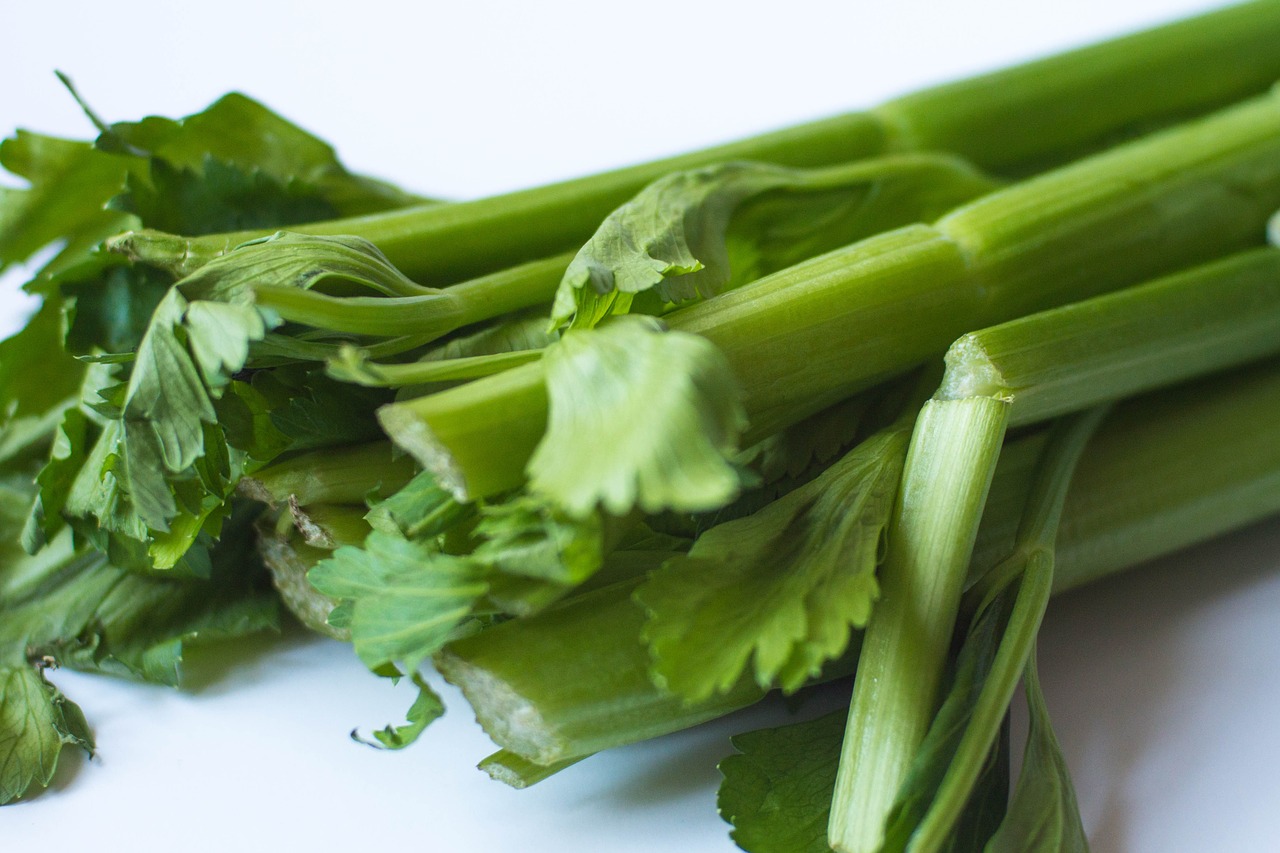 celery green food free photo