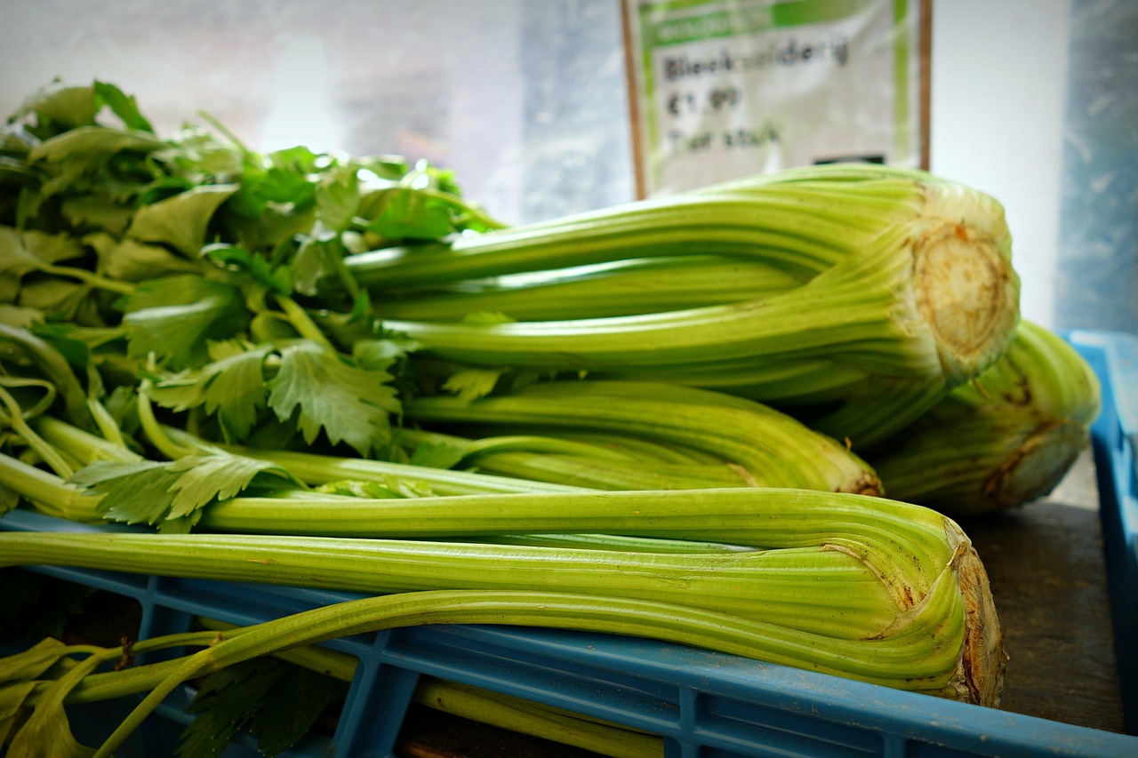 celery shrub celery vegetable free photo