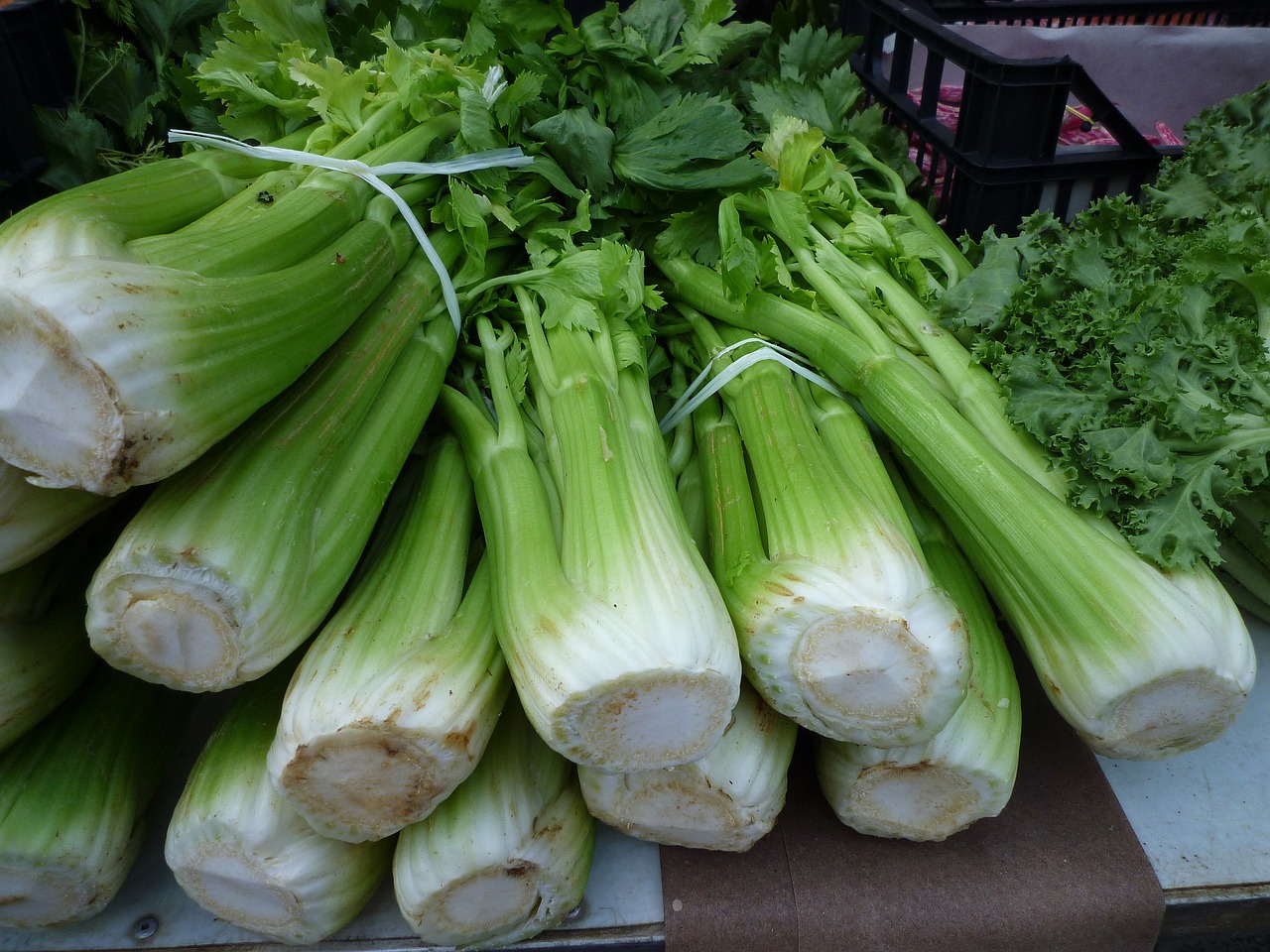 celery vegetables boxes free photo