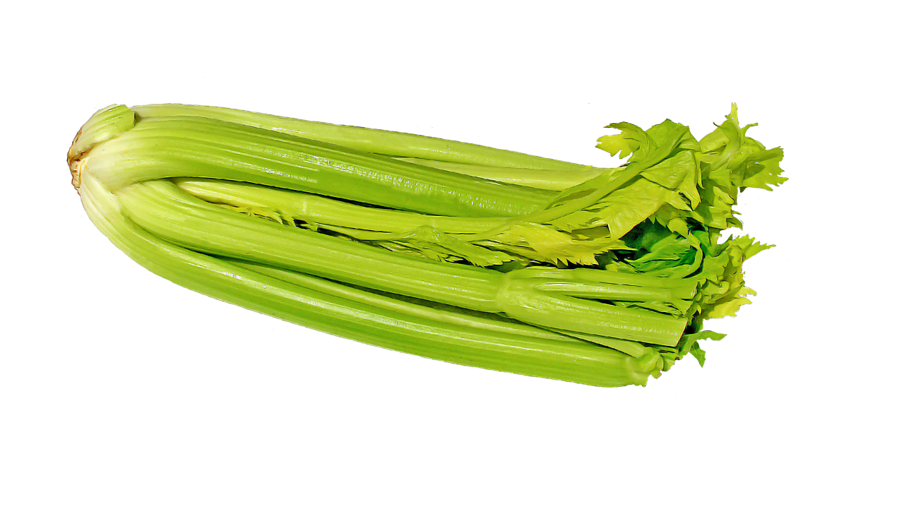 celery vegetables vegetable free photo