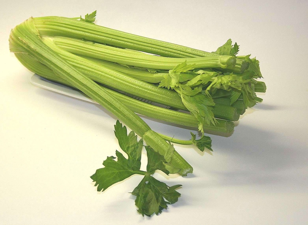 celery vegetables healthy free photo