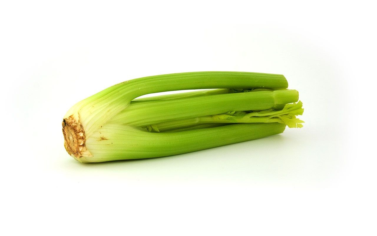 celery vegetable vitamins free photo