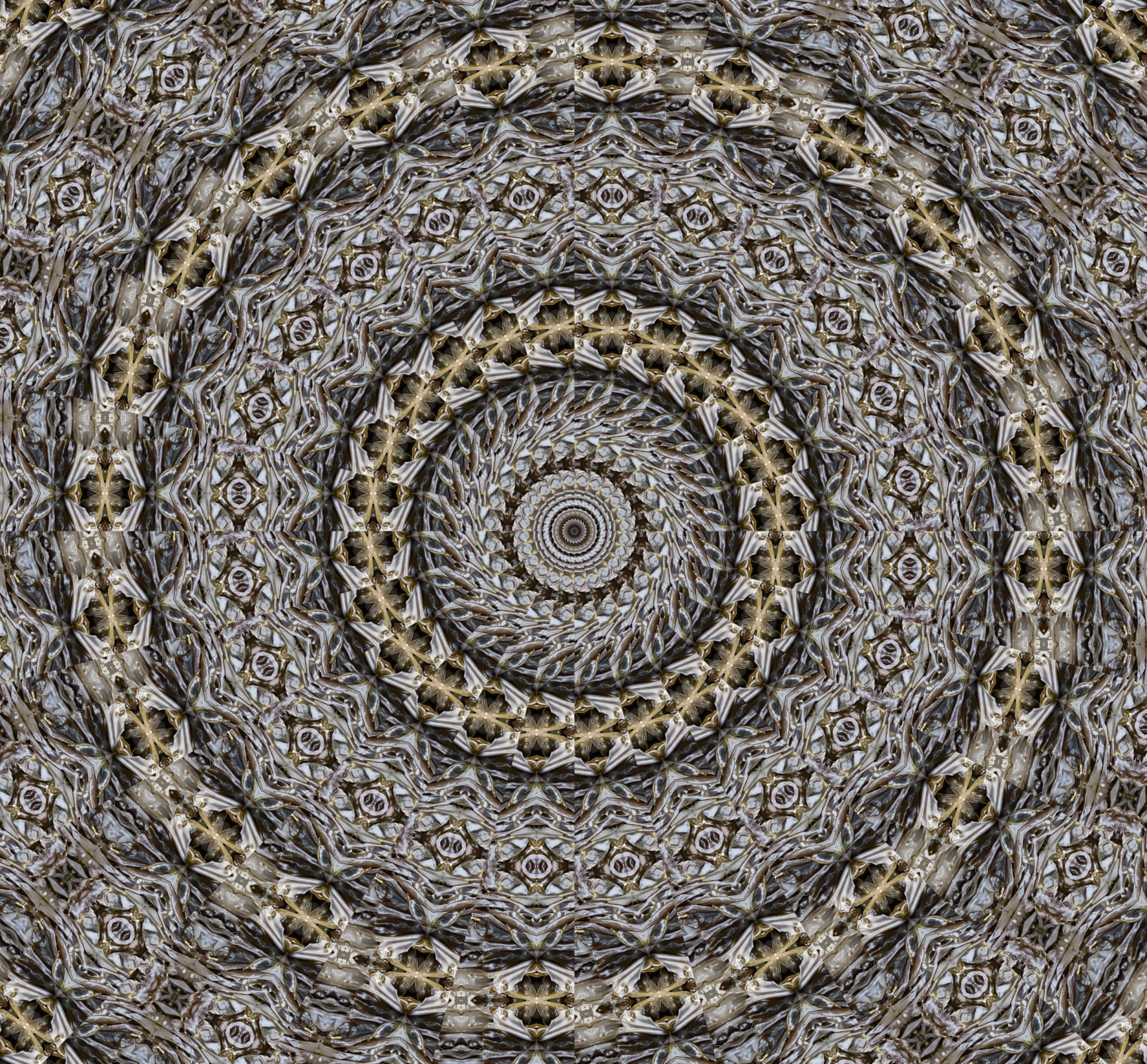 pinwheel abstract background free photo