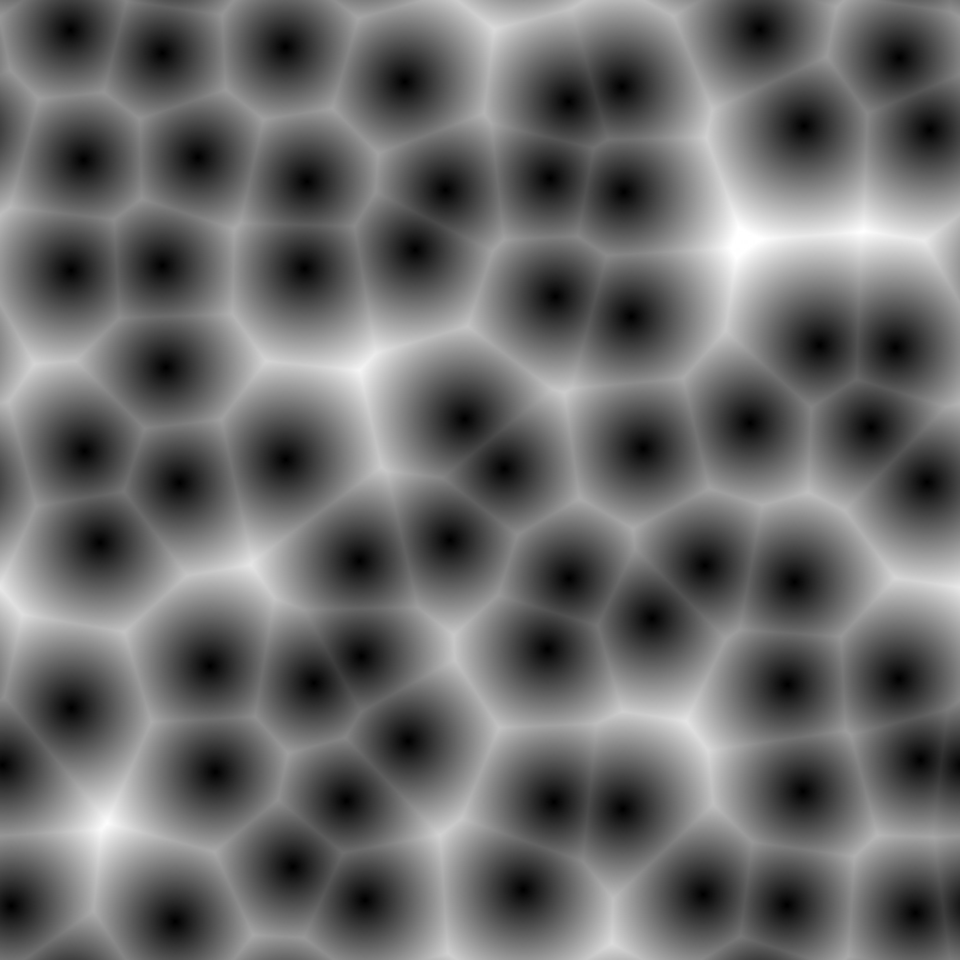 pattern black cell free photo