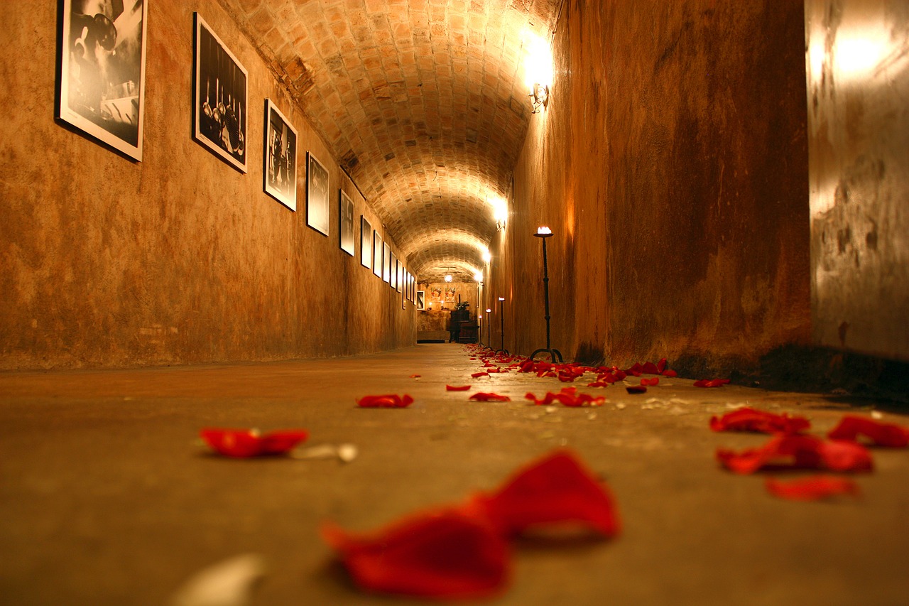 cellar tunnel rose free photo