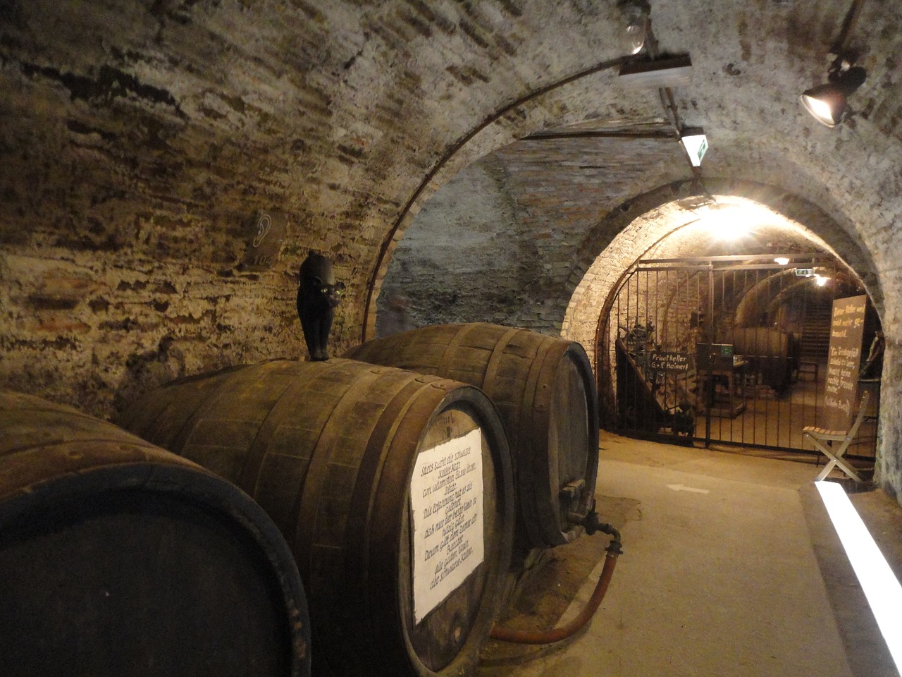 cellar barrel wine barrel free photo
