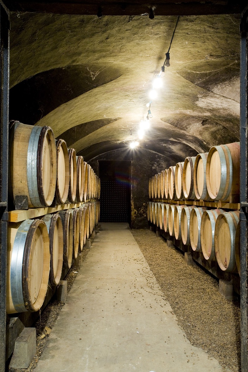 cellar wine botti free photo