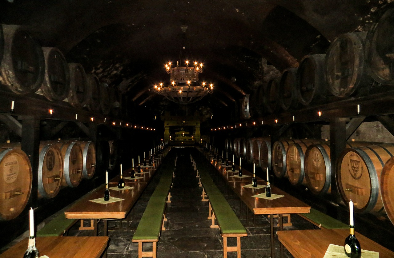 cellar wine wine barrels free photo