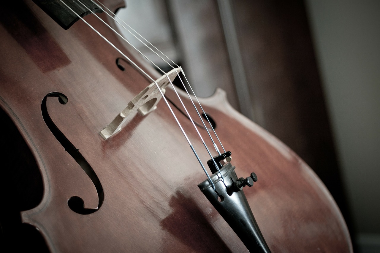 cello detail instrument free photo