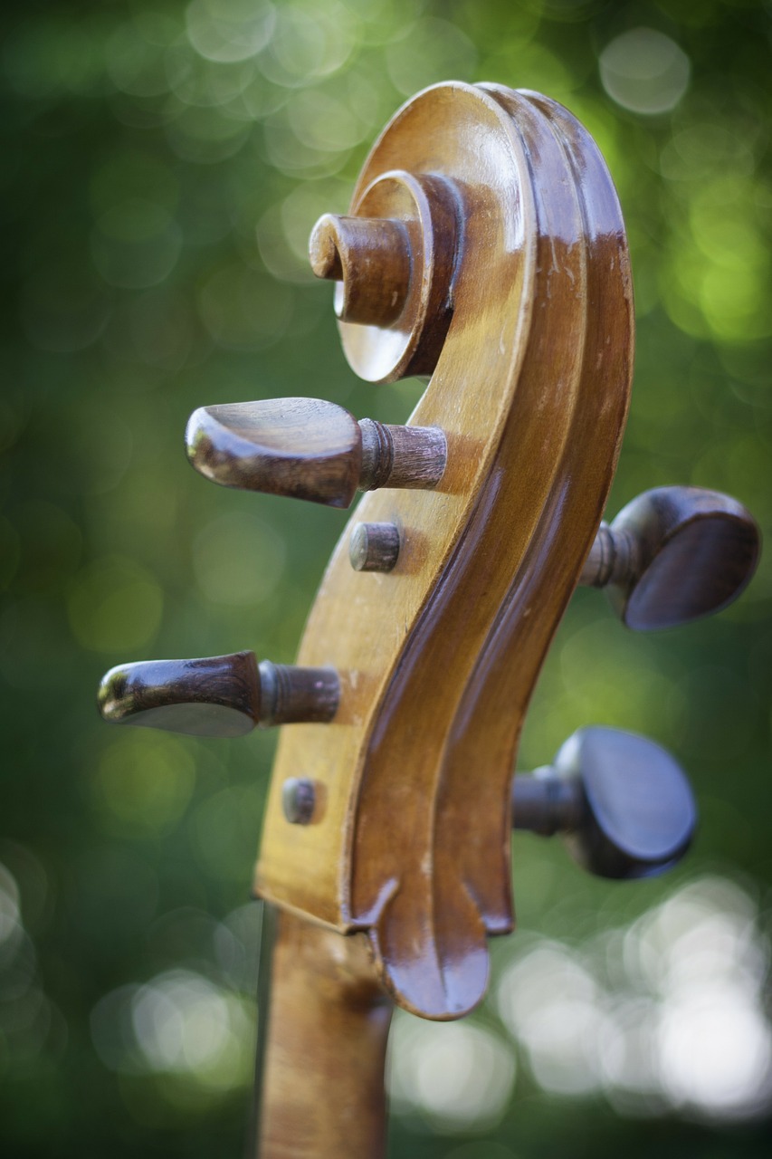 cello instrument stringed instrument free photo