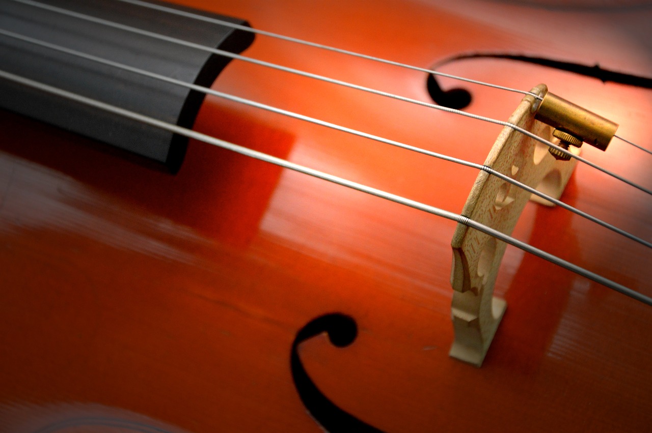 cello strings stringed instrument free photo
