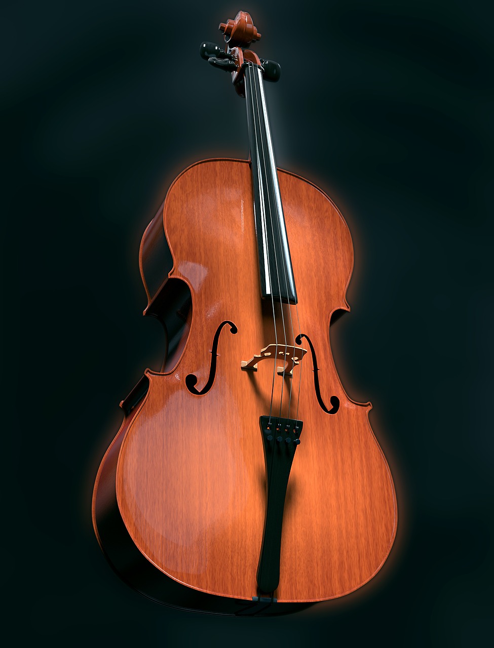 cello strings stringed instrument free photo