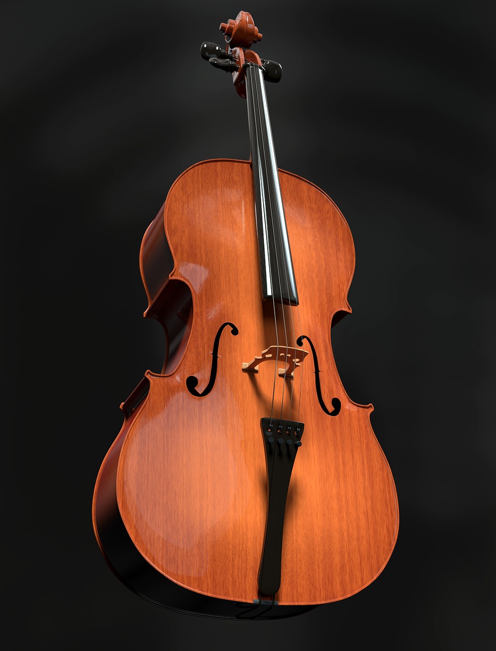 cello strings stringed instrument free photo