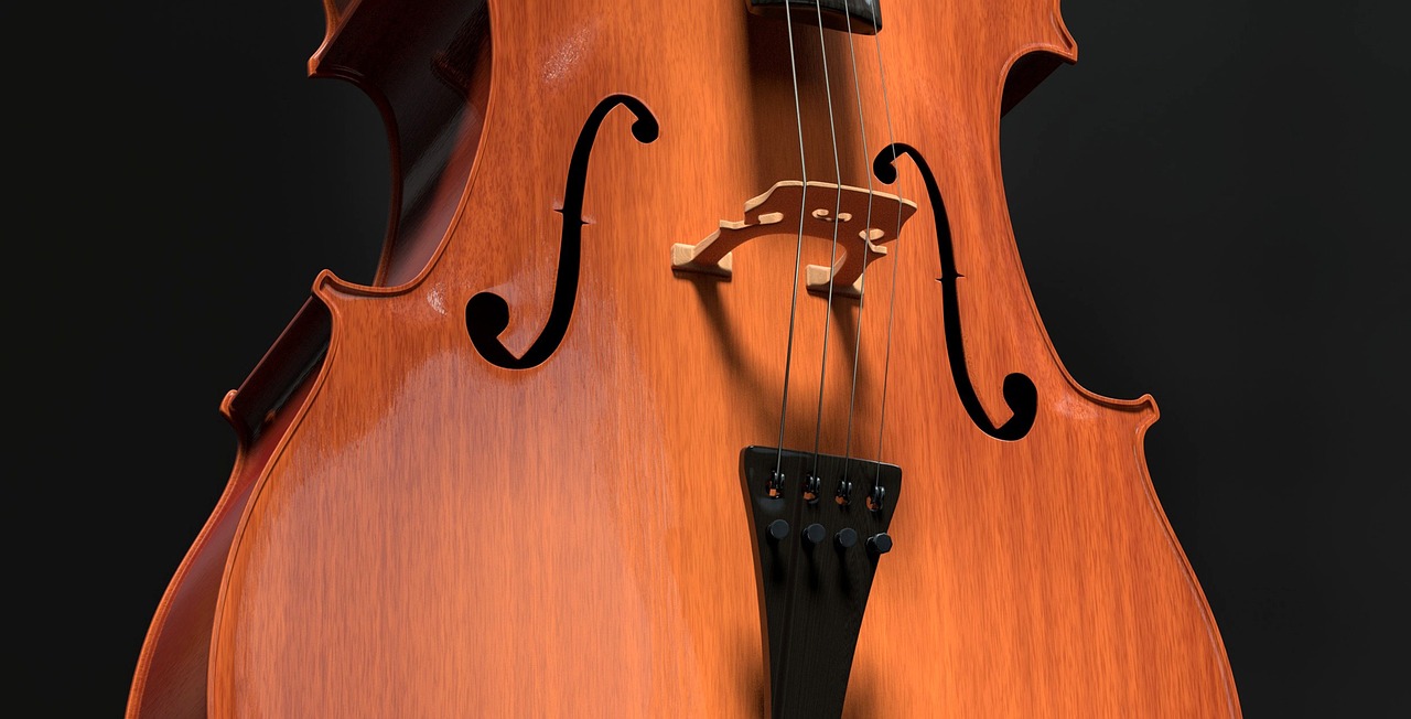 cello strings stringed instrument free photo