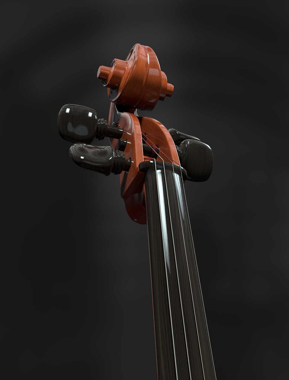 cello strings stringed instrument free photo