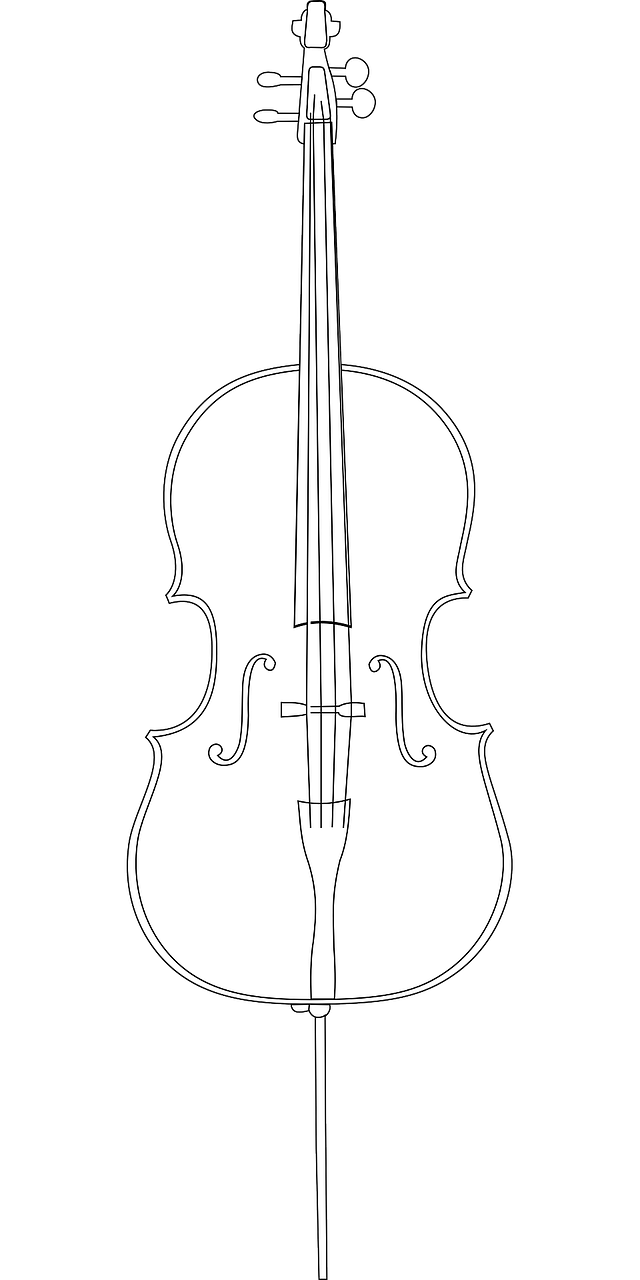 cello instrument string free photo