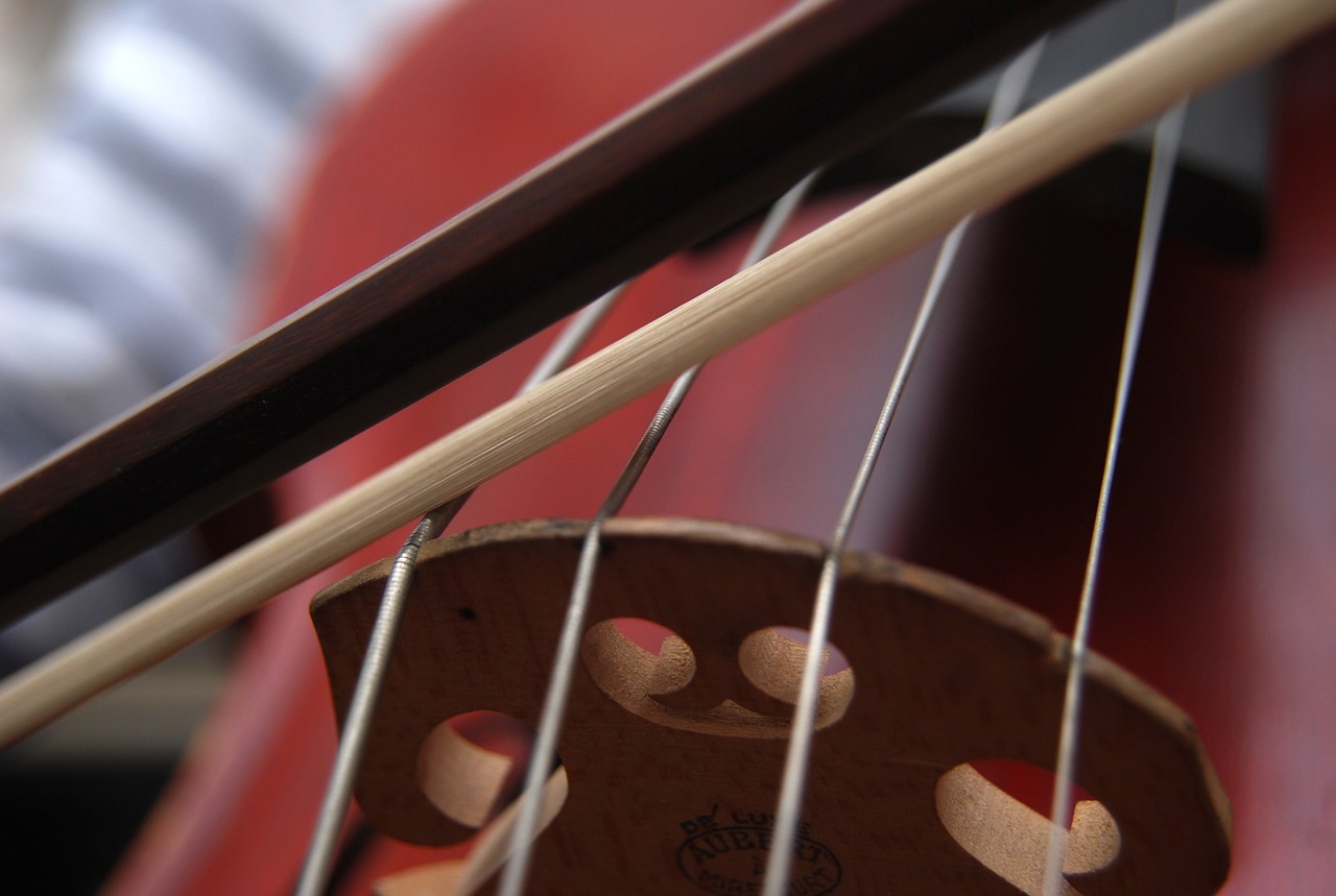 cello strings classical music free photo