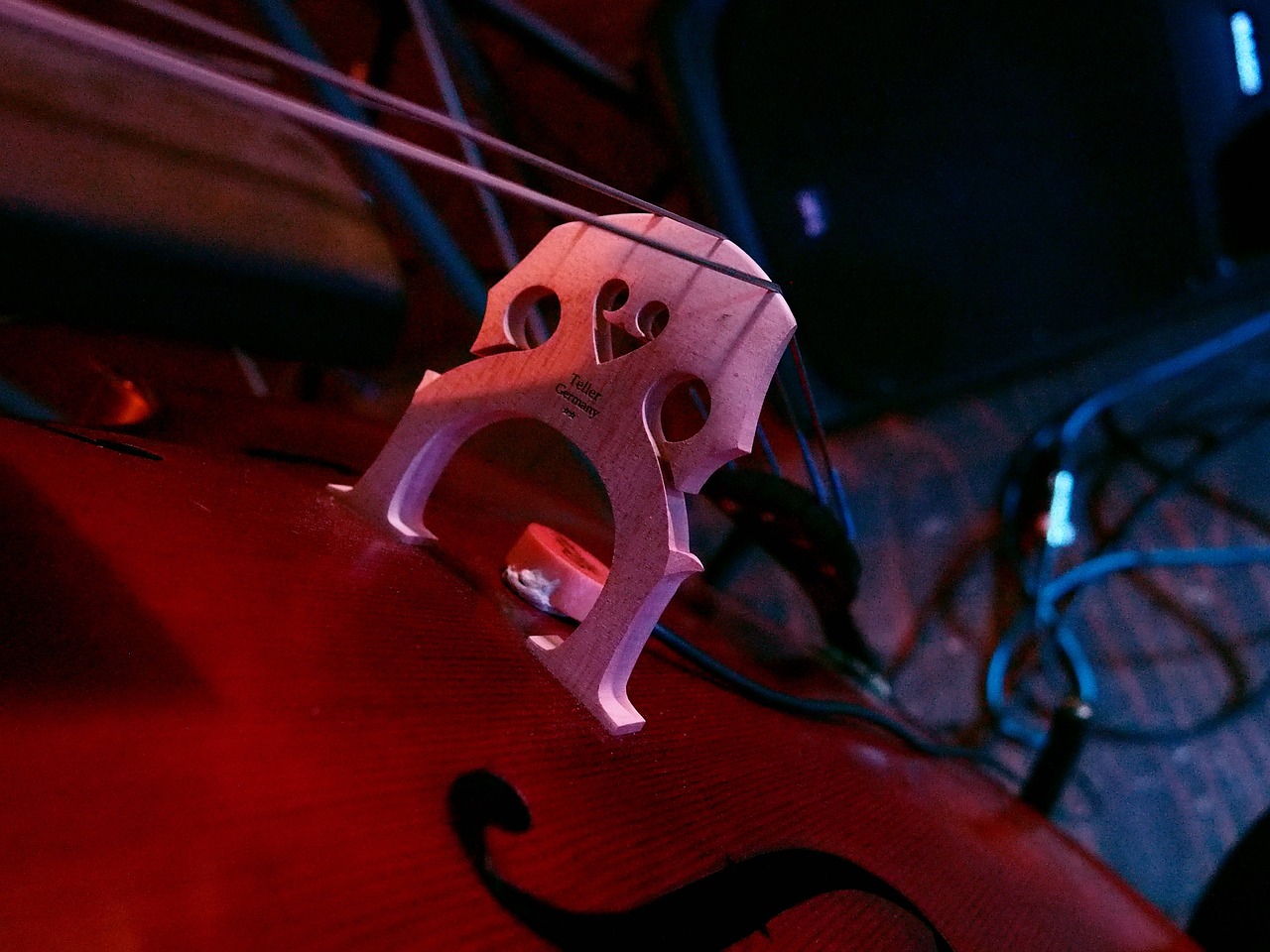 cello bridge strings free photo