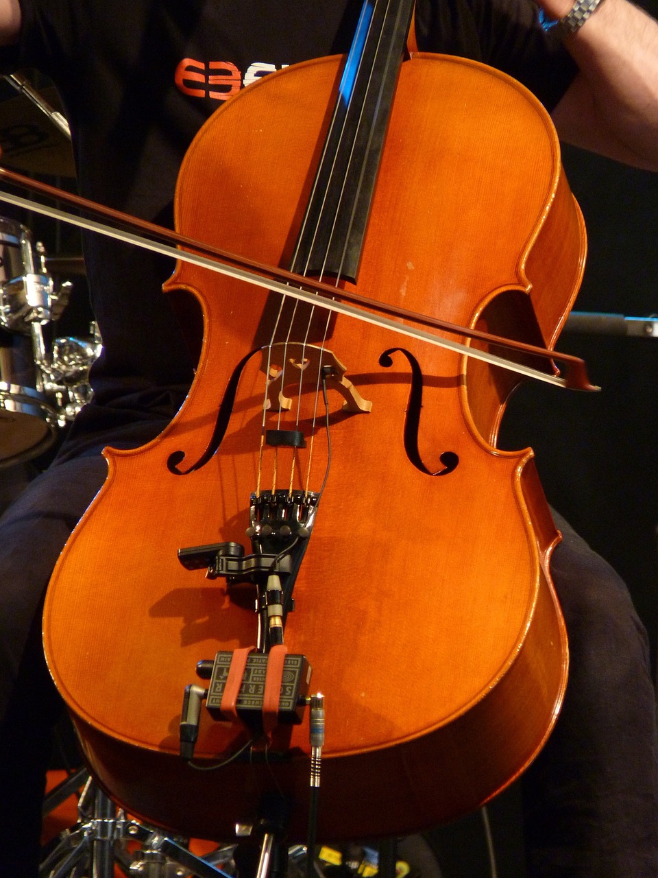 cello strings instrument free photo