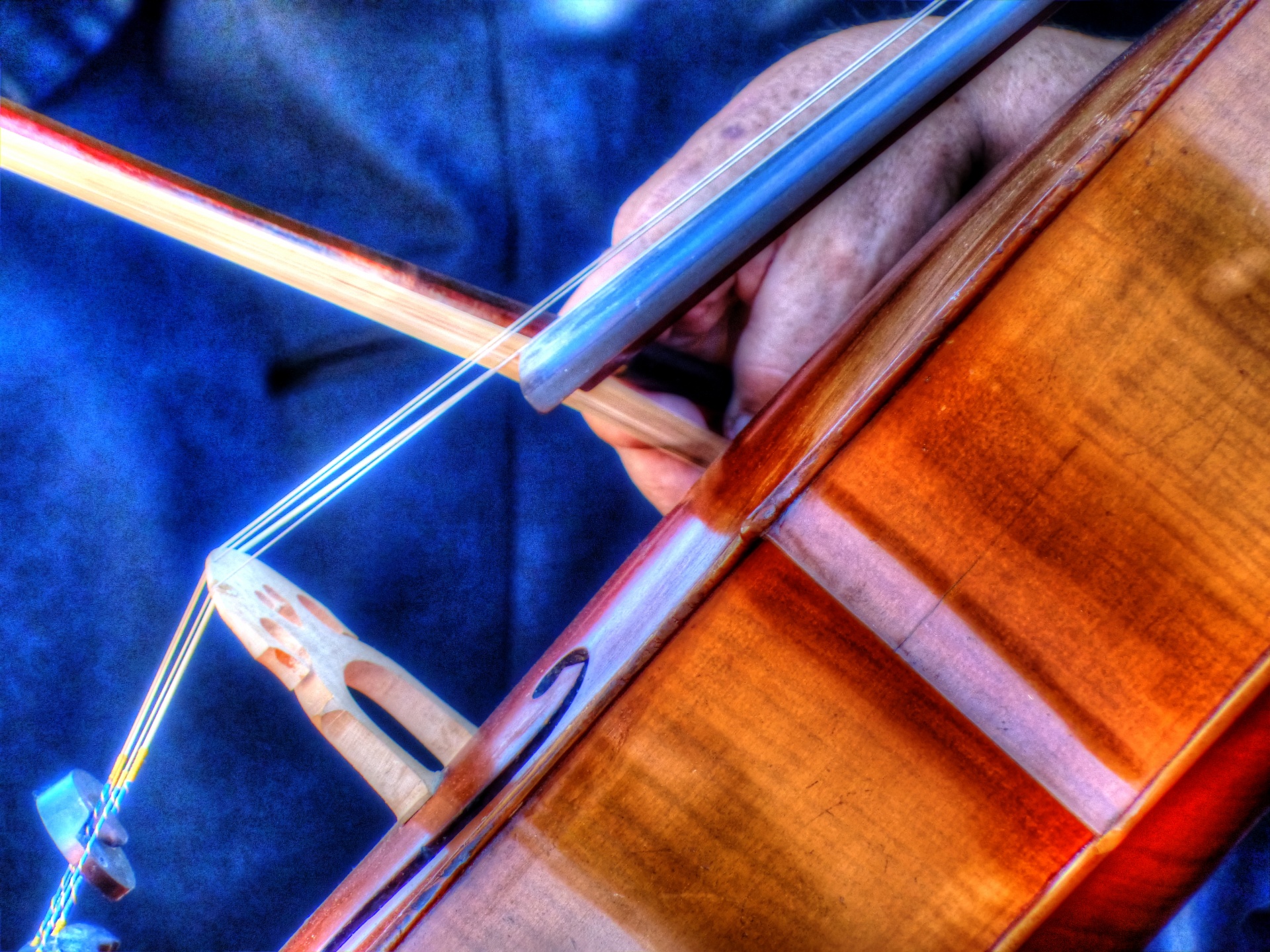 cello cellos music free photo