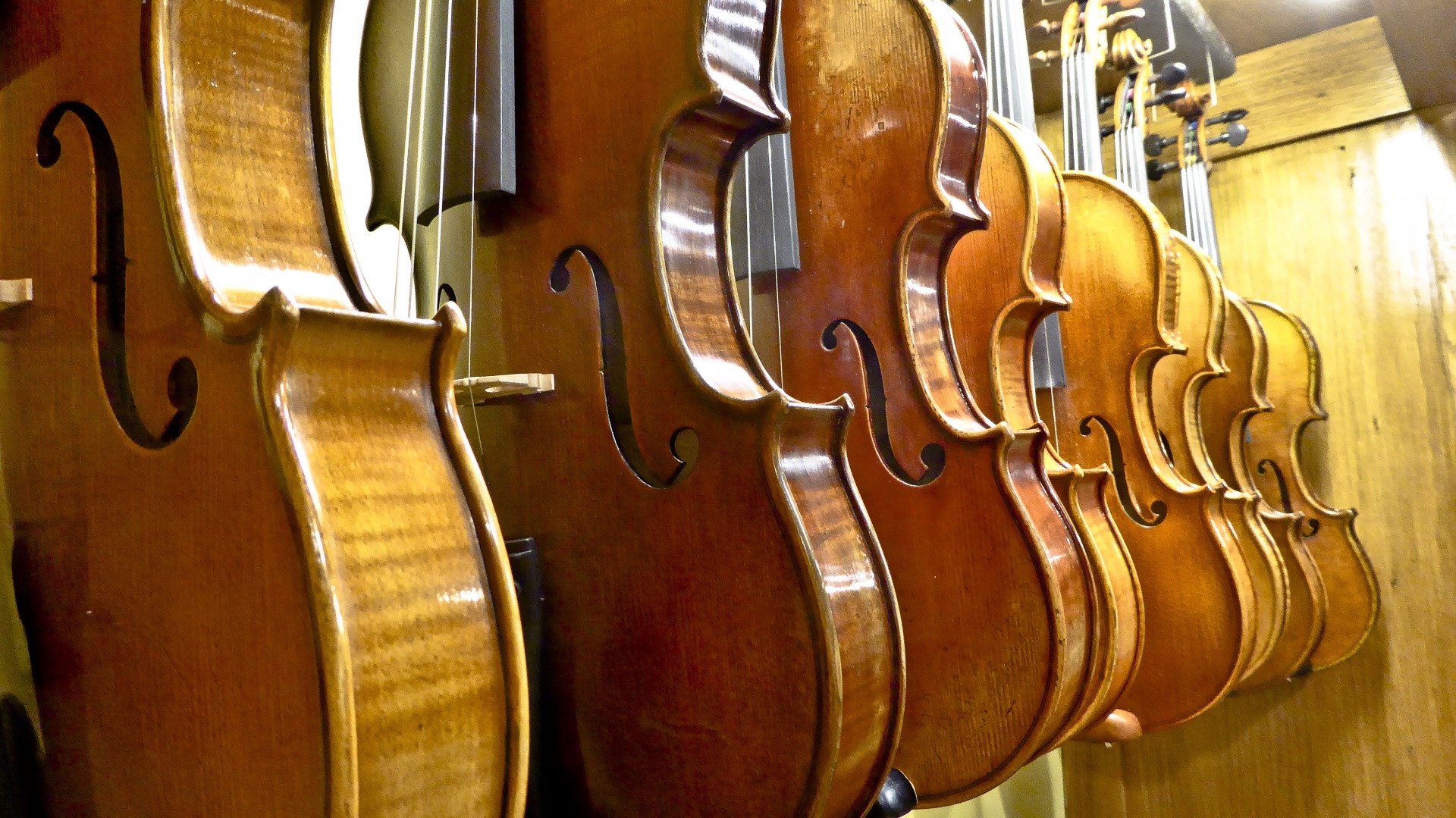 cello cellos instrument free photo
