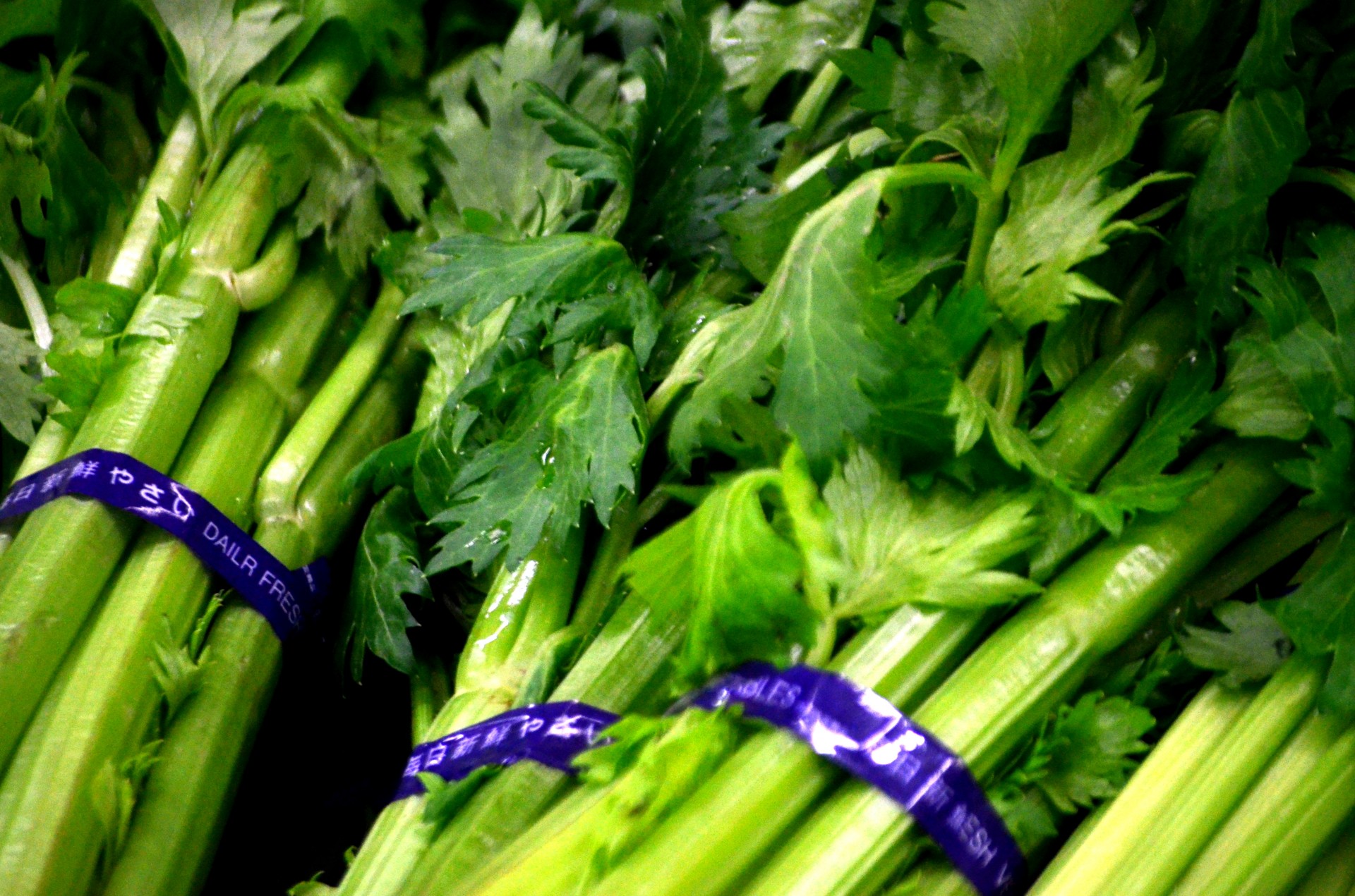 food vegetable celery free photo