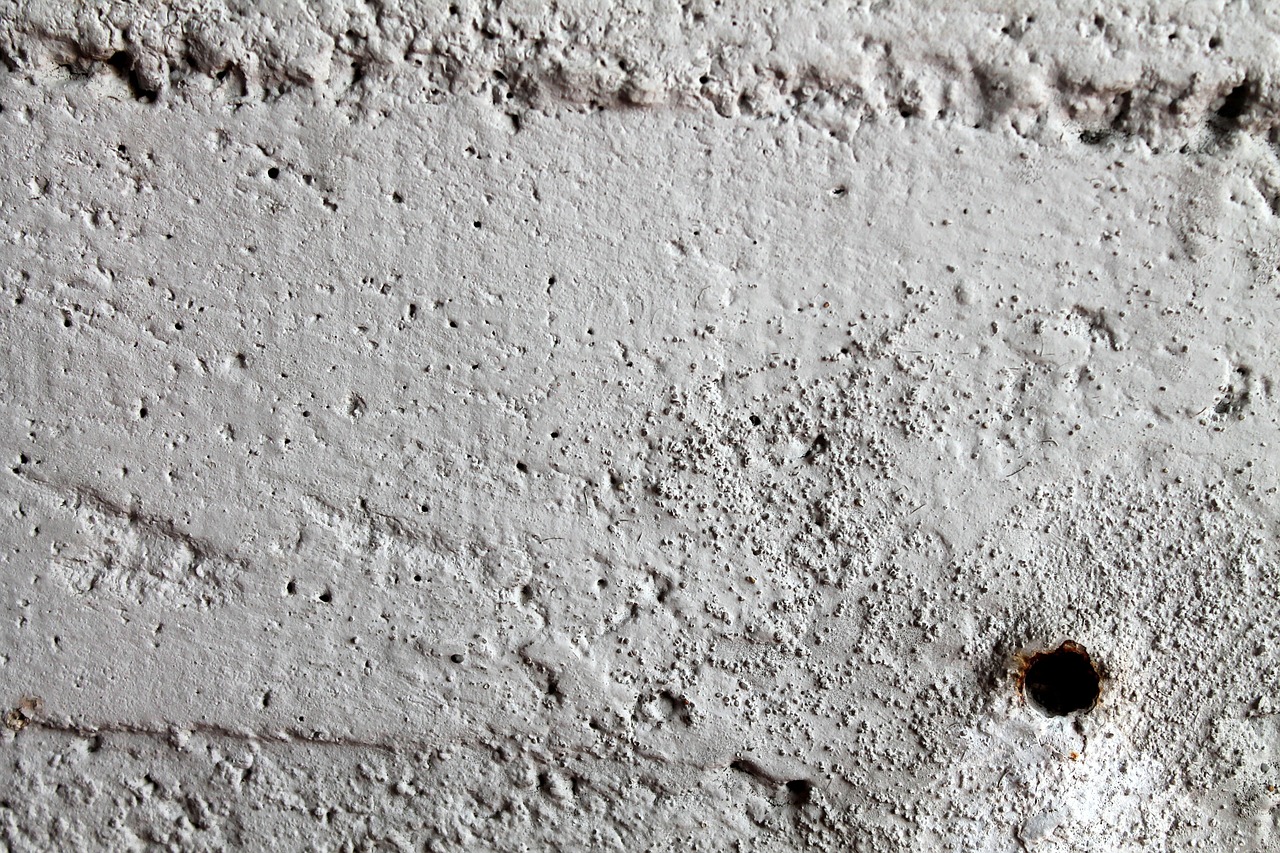 cement cretto wall free photo