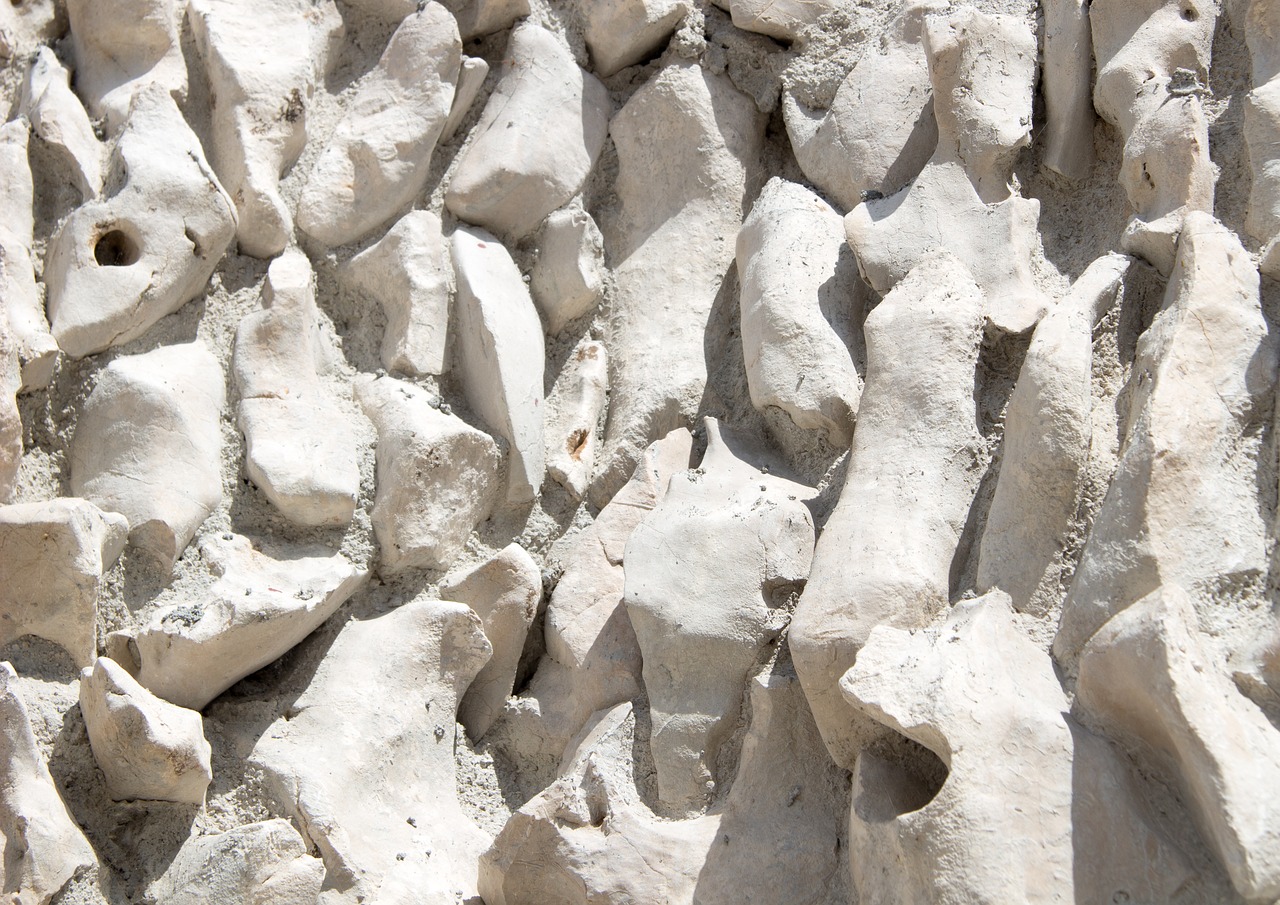 cement wall listello cement von free photo