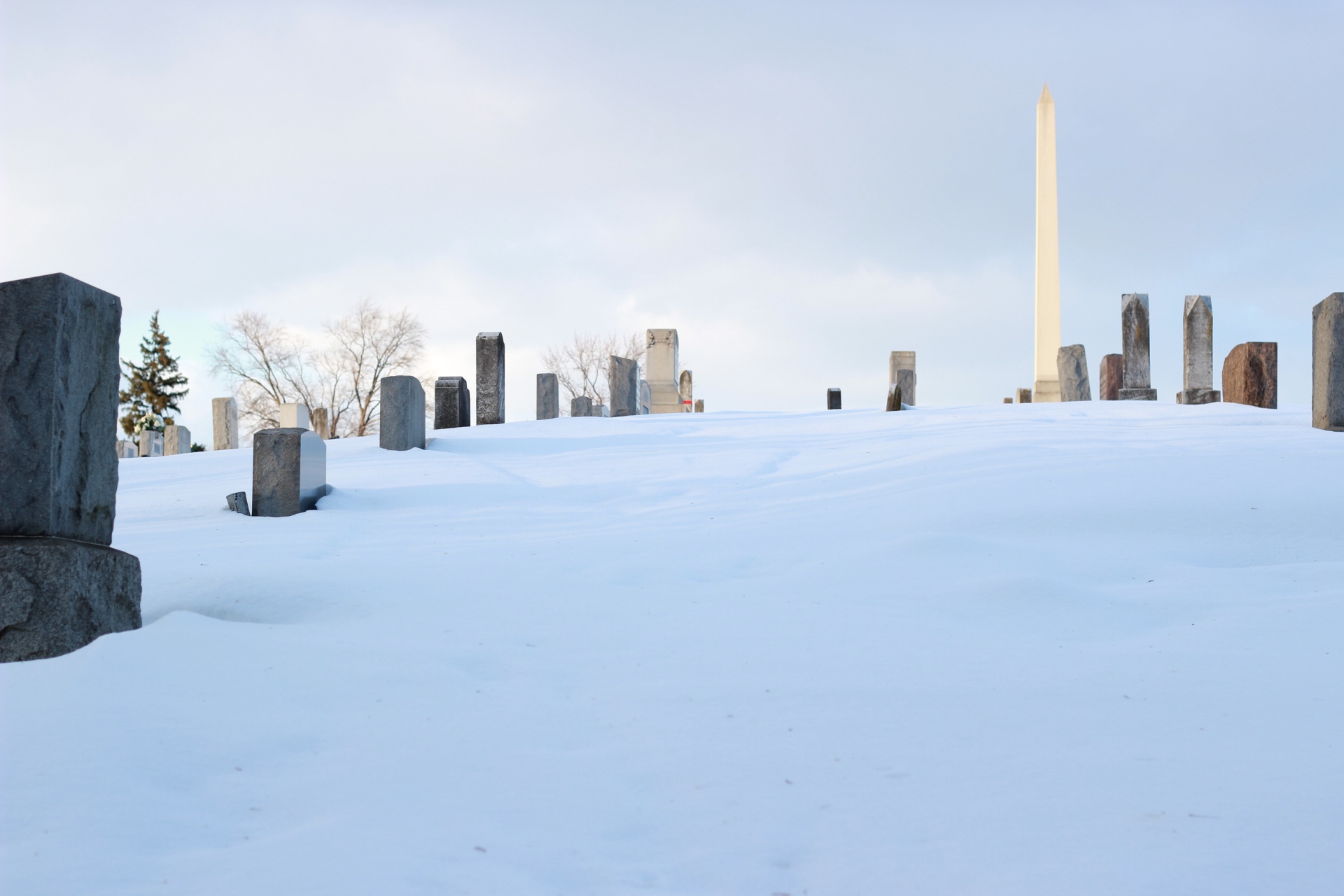 winter snow graves free photo