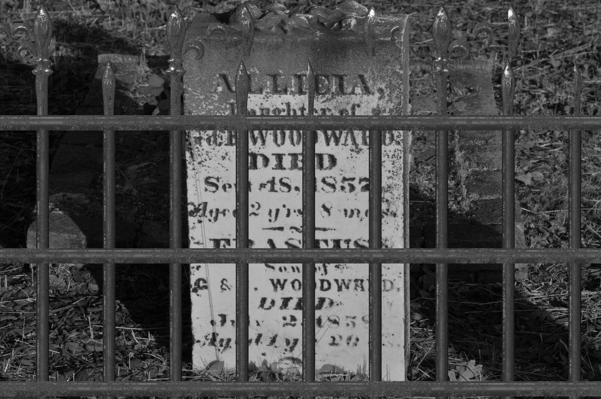 cemetery cemeteries grave free photo