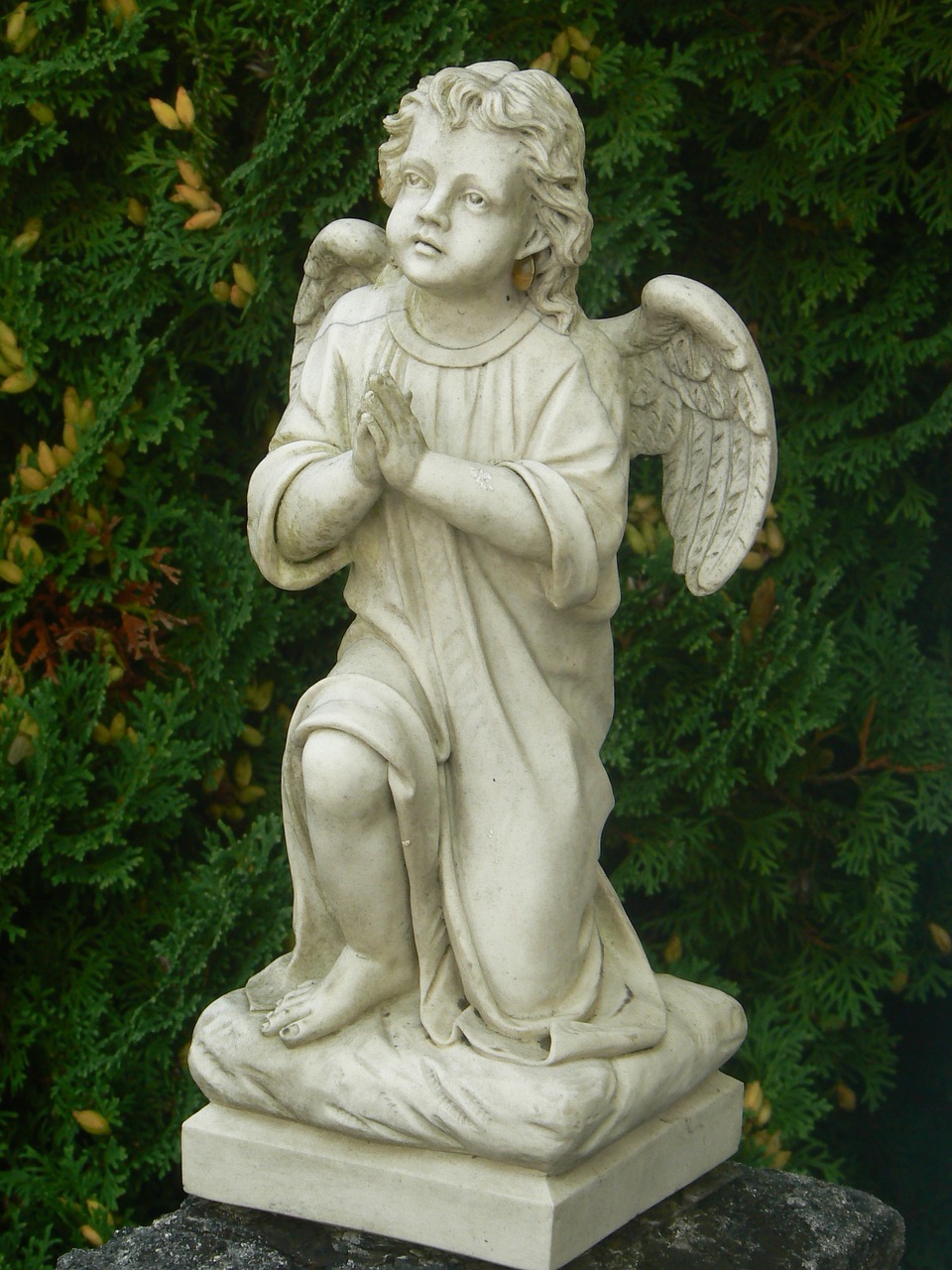 cemetery angel statue free photo