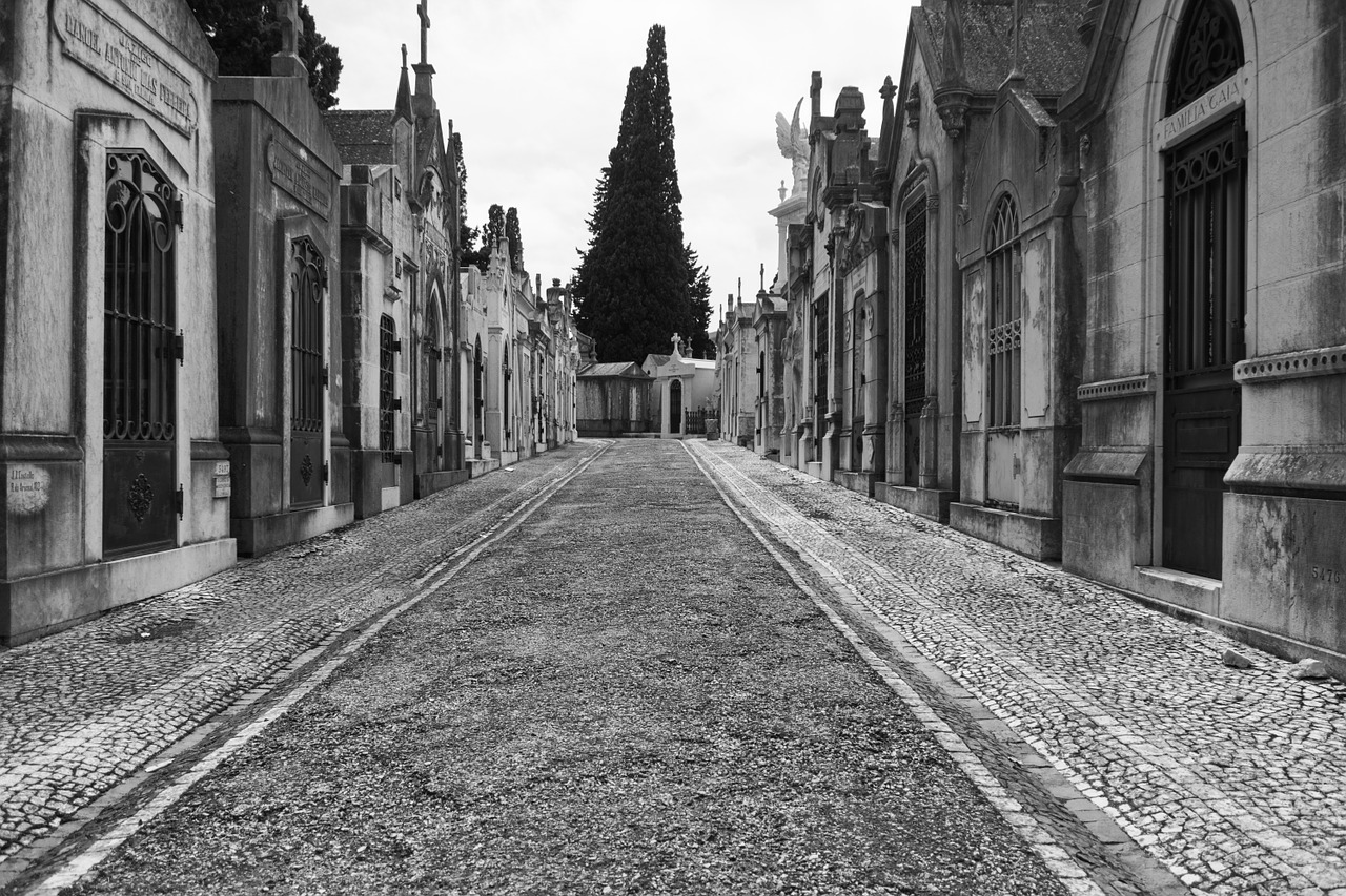 cemetery graves grave free photo