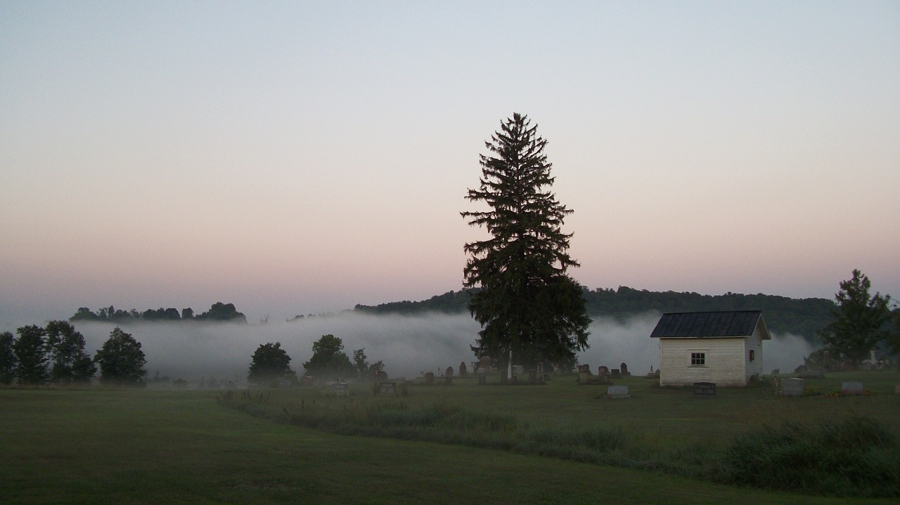 cemetery fog dawn free photo