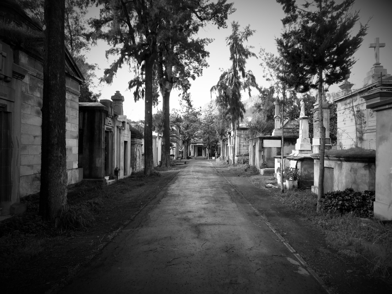 cemetery path dark free photo