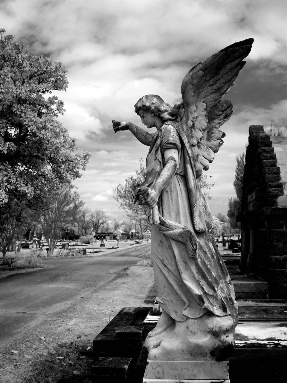 cemetery magnolia cemetery mobile free photo