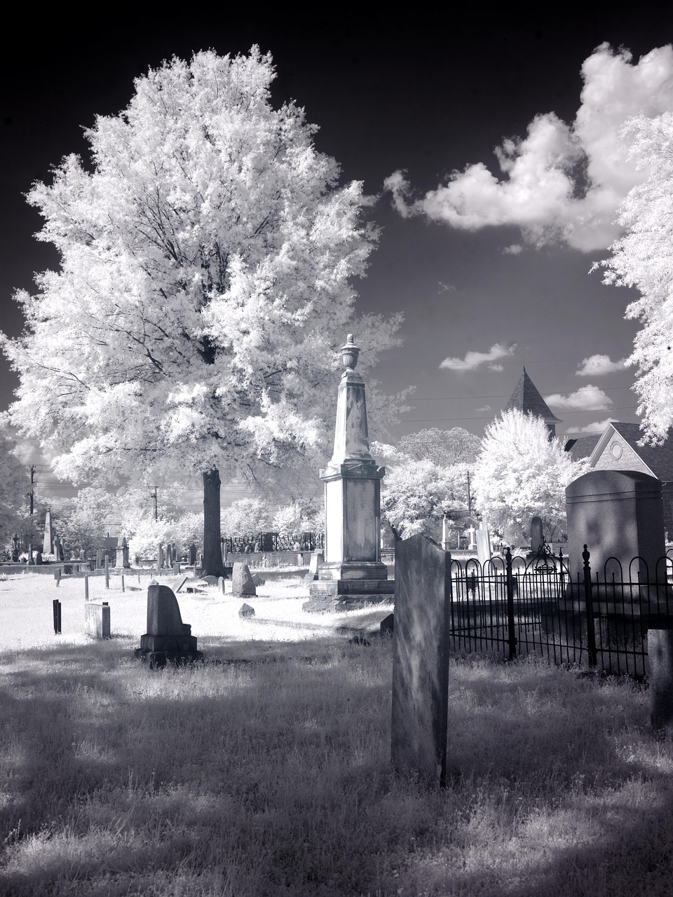 cemetery usa united states free photo