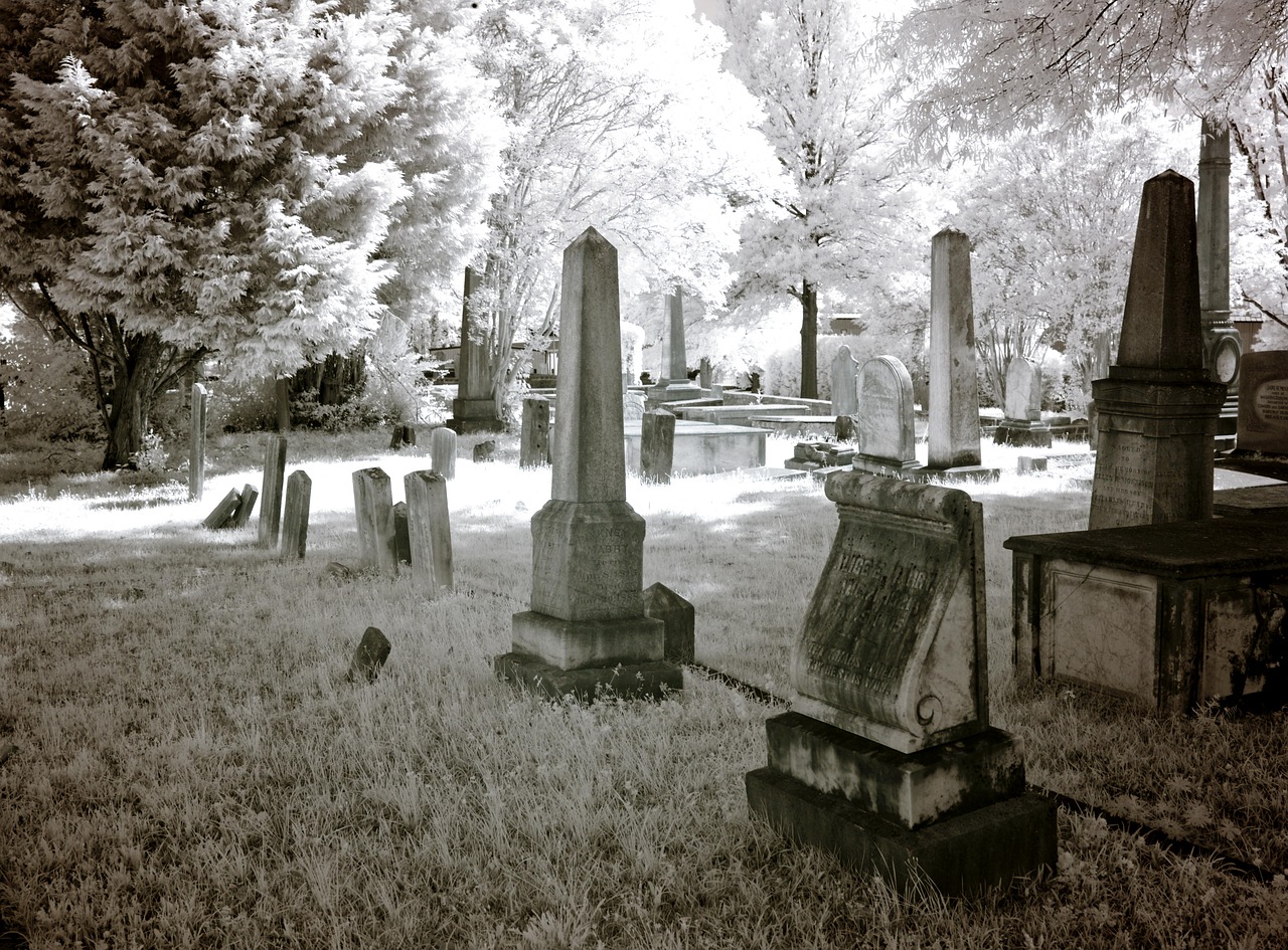 cemetery usa united states free photo