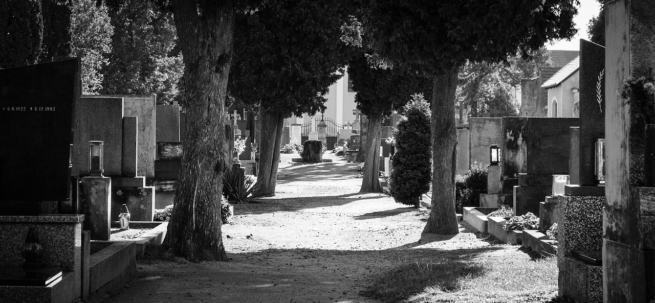 cemetery graves path free photo