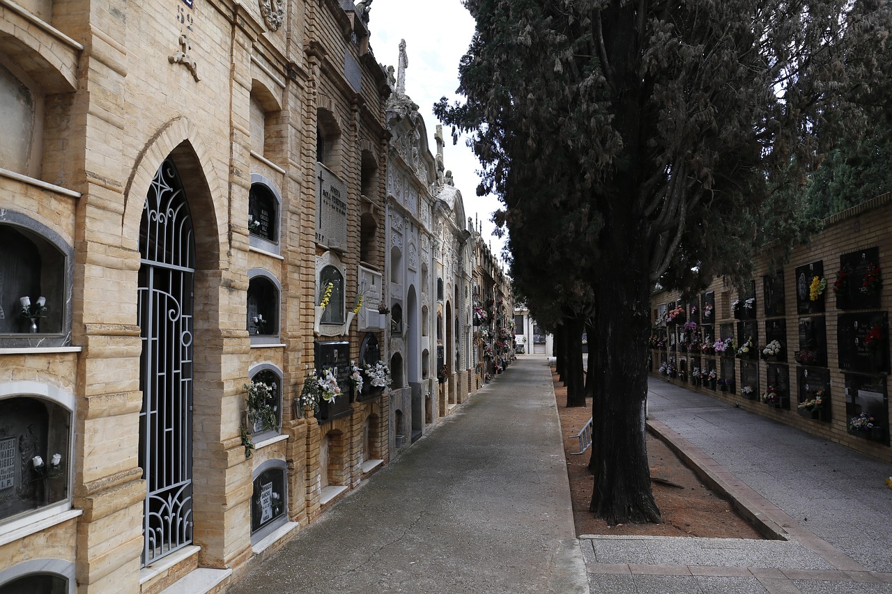 cemetery backlight spain free photo