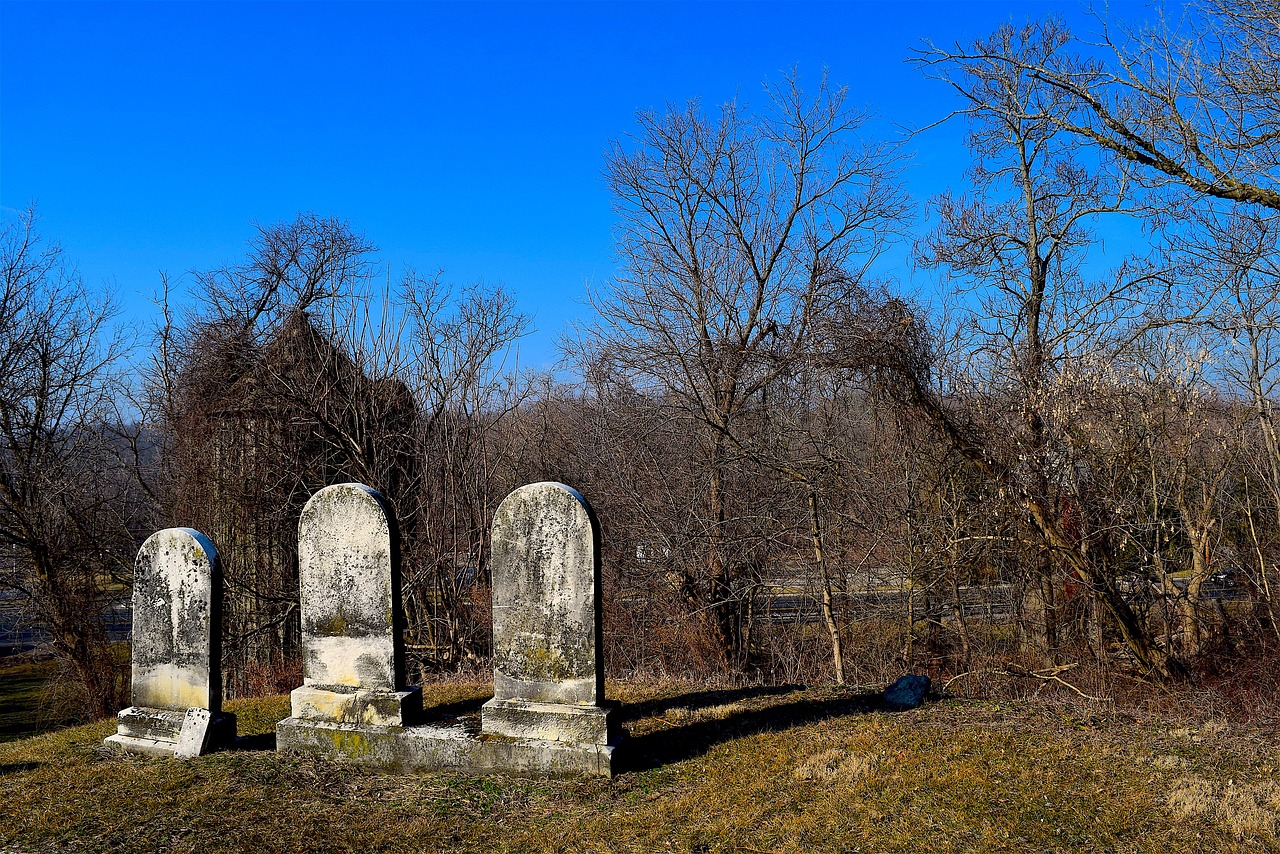 cemetery tombstones daylight free photo