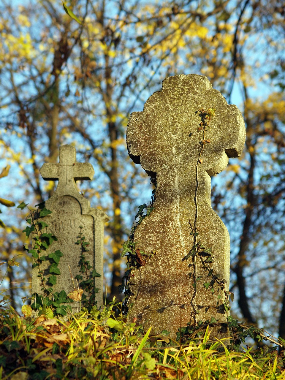 cemetery mood grave free photo