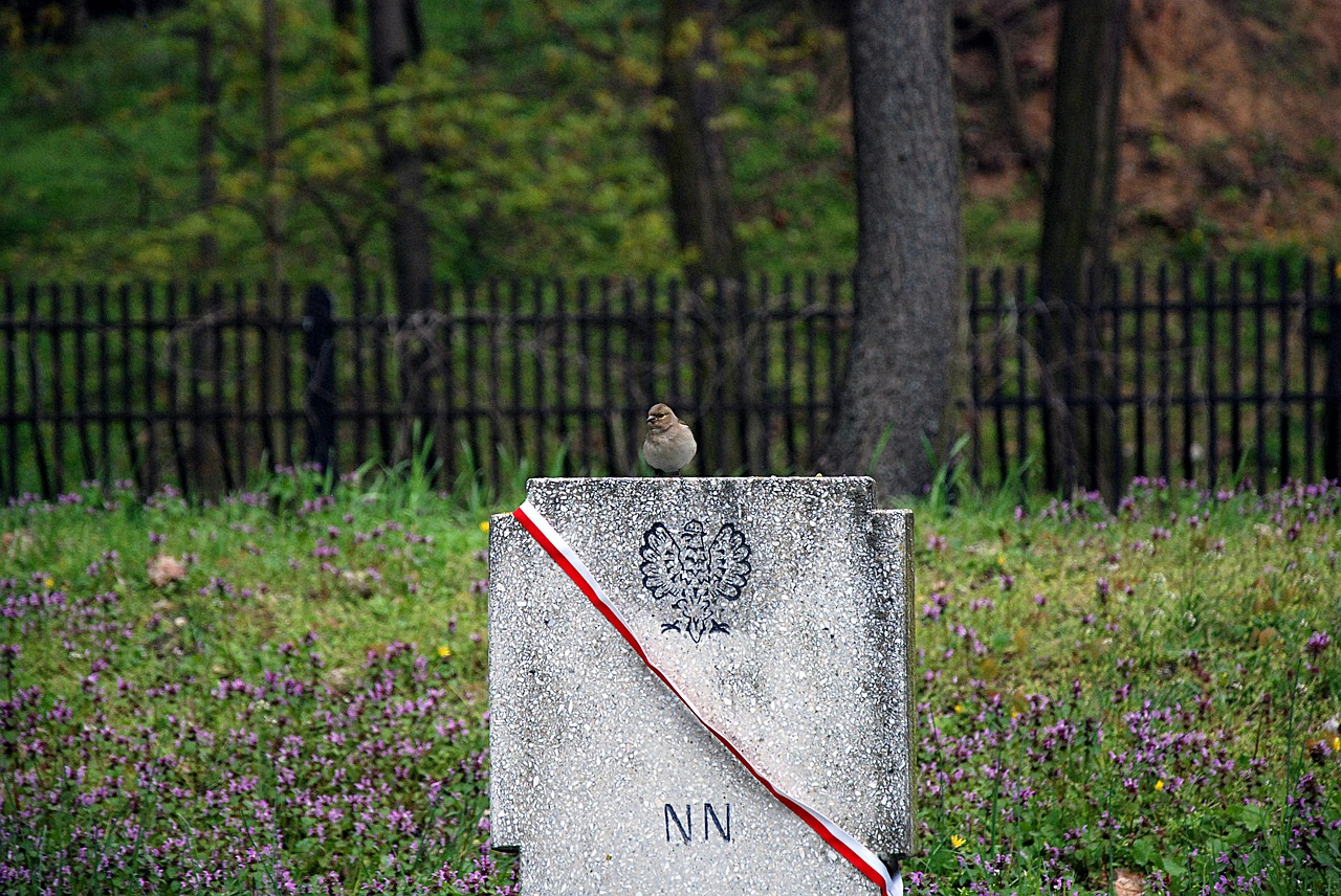 cemetery tombstone poland free photo