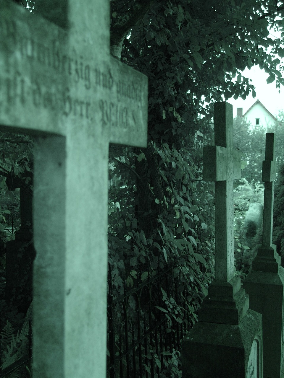 cemetery death crosses free photo