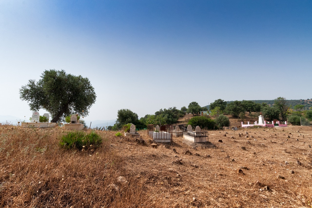 cemetery bejaia algeria free photo